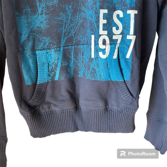 ✨3/$20✨ American Eagle Women’s Blue Long Sleeve Hoodie - Picture 5 of 8